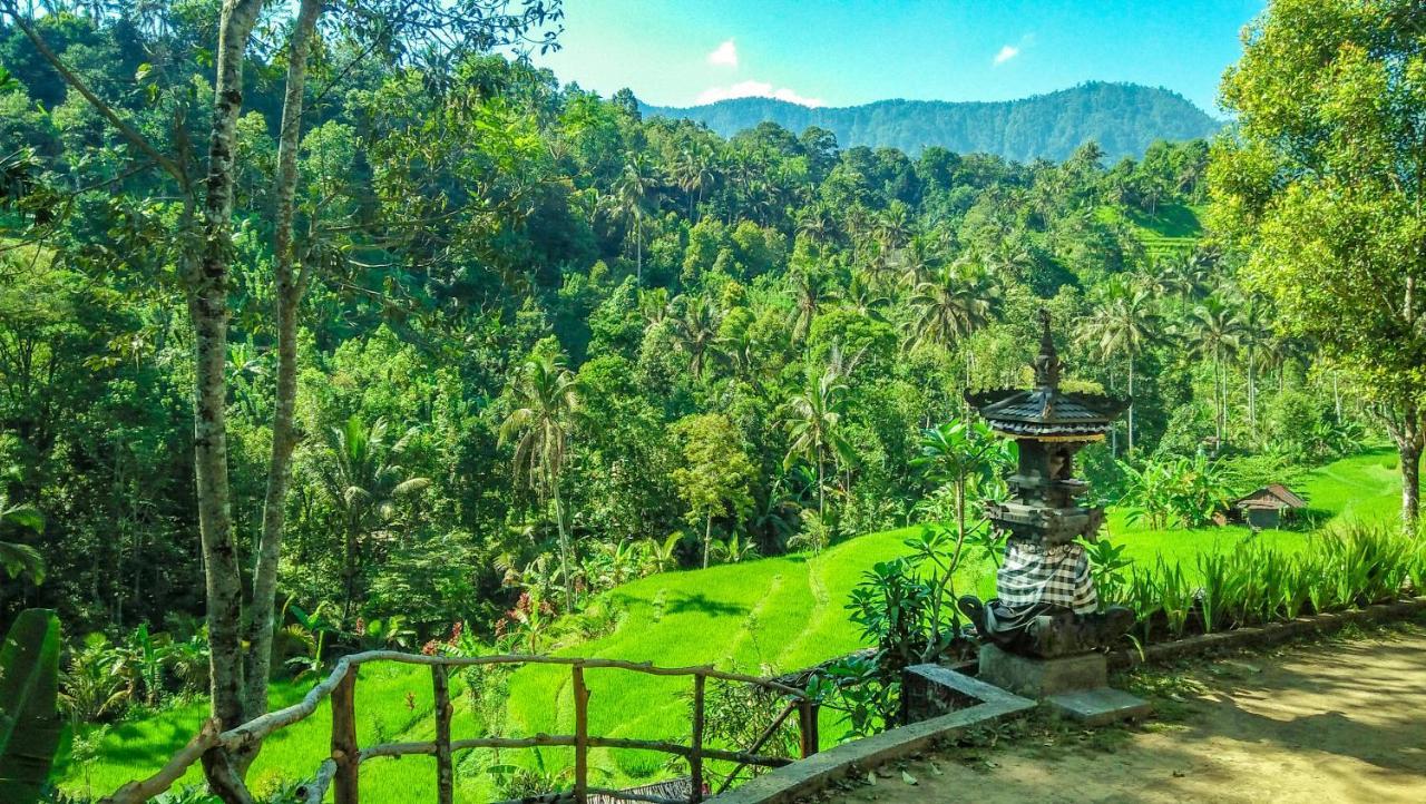 Buda'S Homestay Lemukih Pabean Buleleng Exterior foto