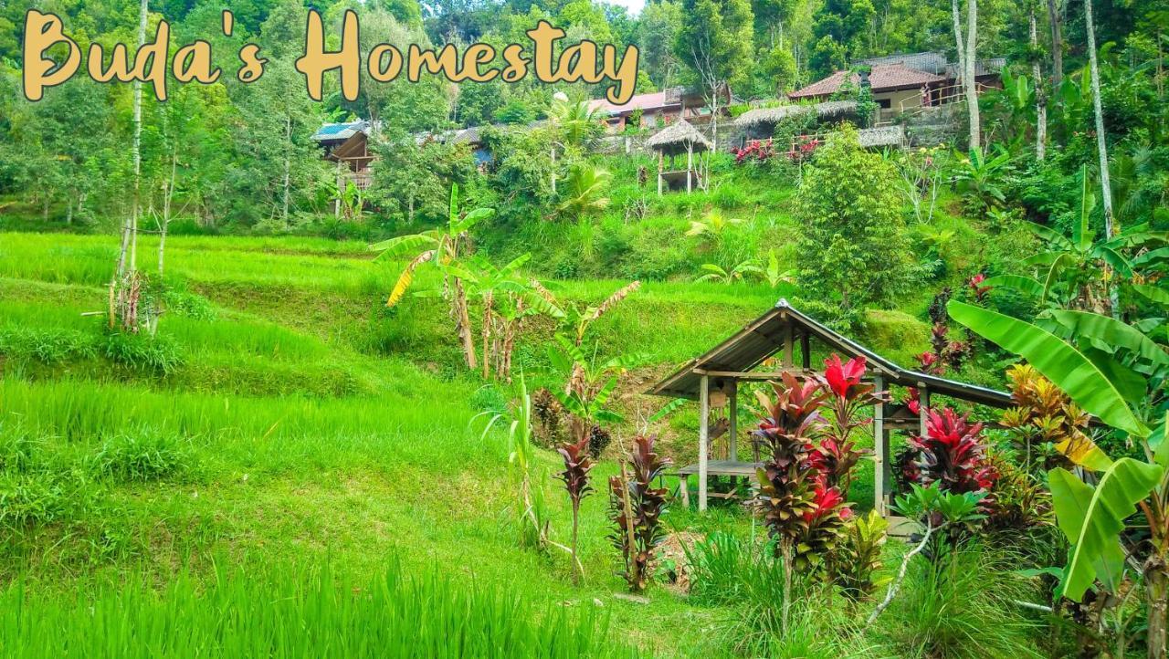 Buda'S Homestay Lemukih Pabean Buleleng Exterior foto