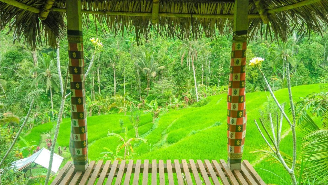 Buda'S Homestay Lemukih Pabean Buleleng Exterior foto
